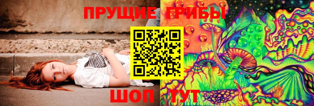 Мытищи  как найти закладки  Вход с VPN  Галлюциногенные грибы мицелий  Галлюциногенные грибы Psilocybine cubensis 