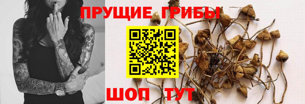 Галлюциногенные грибы мицелий Мытищи
